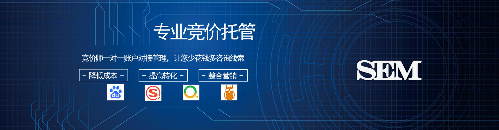 维西sem专员